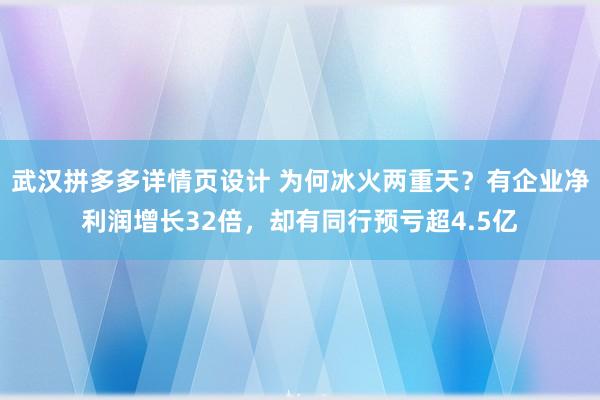 武汉拼多多详情页设计 为何冰火两重天？有企业净利润增长32倍，却有同行预亏超4.5亿