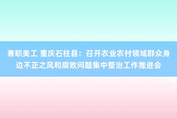 兼职美工 重庆石柱县：召开农业农村领域群众身边不正之风和腐败问题集中整治工作推进会