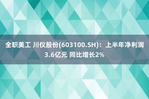 全职美工 川仪股份(603100.SH)：上半年净利润3.6亿元 同比增长2%